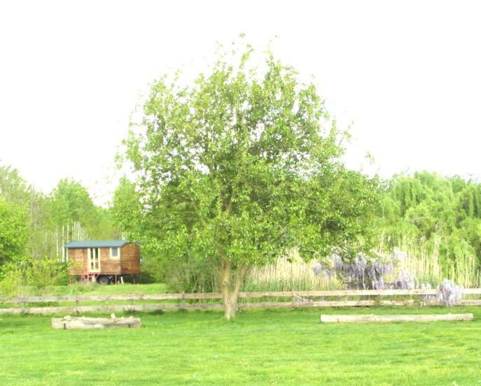 Casetta Sul Lago Albairate Buitenkant foto